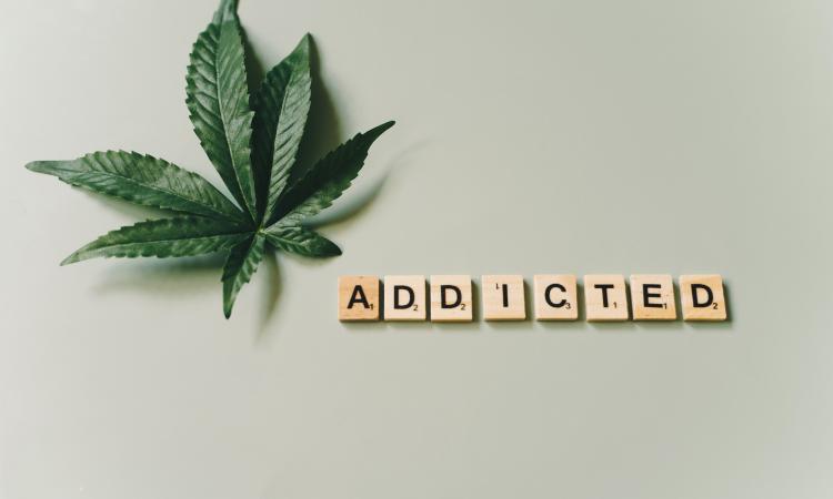 Photo Credit Alesia Kozik